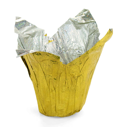 Shiny Fastwrap Gold