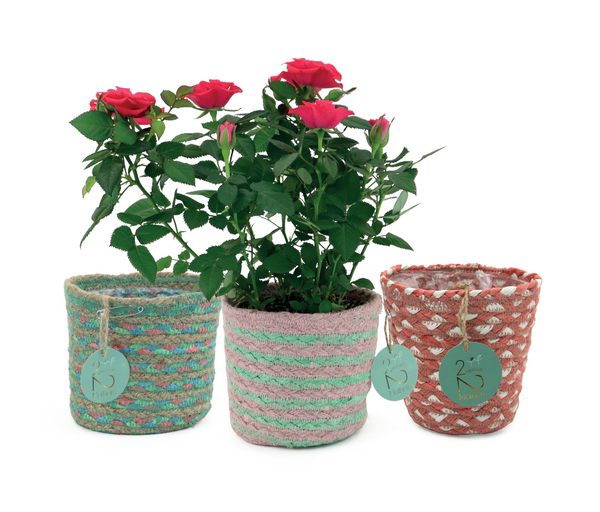 Planters