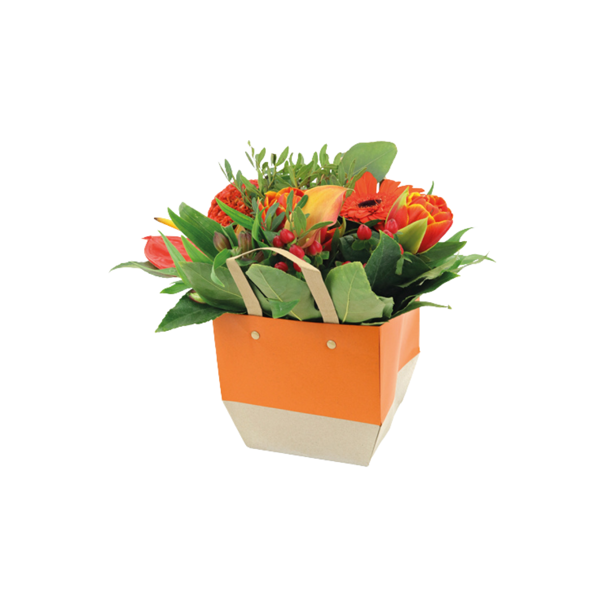 Tailor Bag - Packed by 10