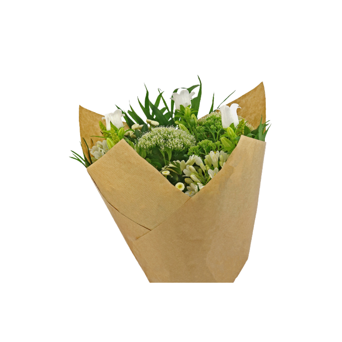 Teak Prefold - 44cm - Packed by 25