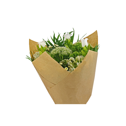 Teak Prefold - 44cm - Packed by 25