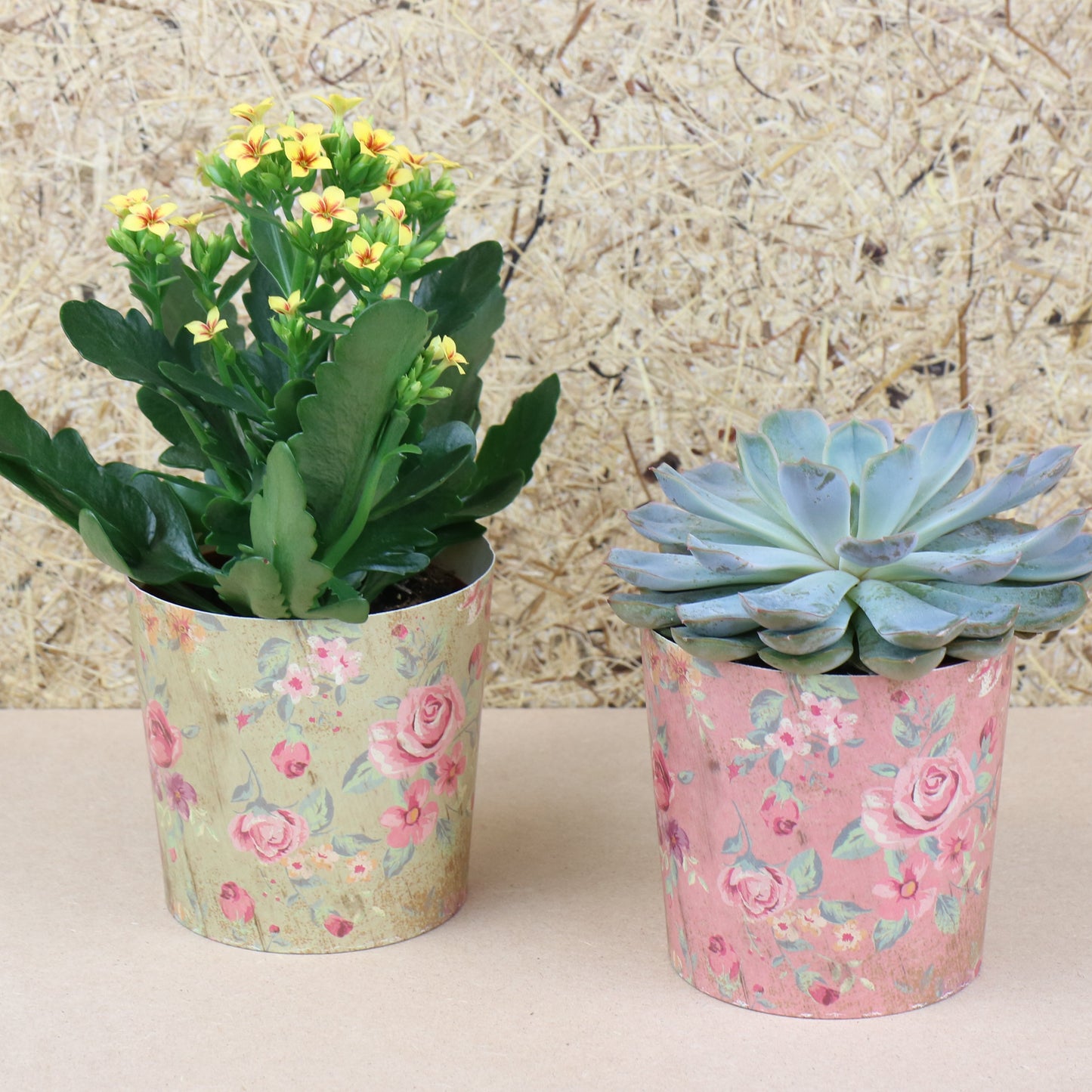 Poetry Paper Cup Pink, Green with Plants