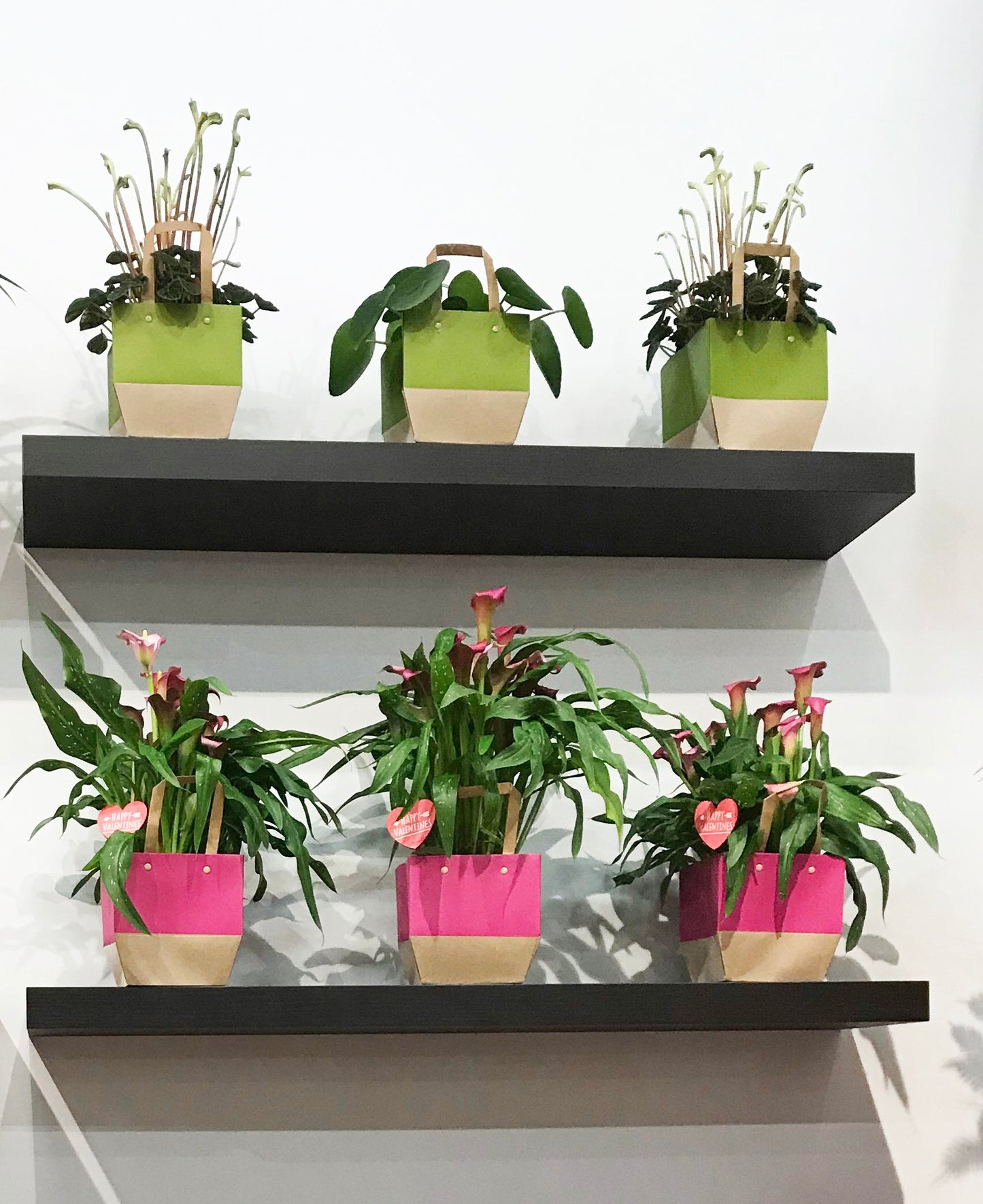 Tailor Bag - Packed by 10